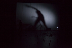 Dynamis | Anselmo e Greta - Teatro Vascello, 2015